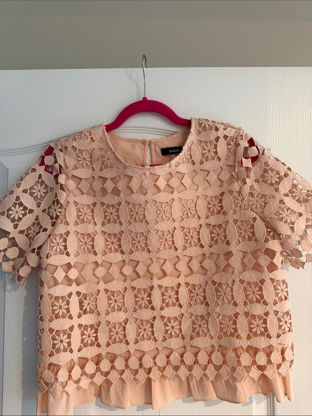Sugarlips Pale Blush Lace Short Sleeve Top - Picture 3 of 5